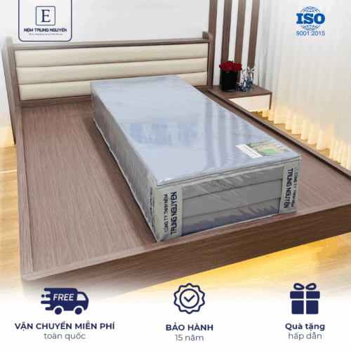 Nệm cao su non hoạt tính Trung Nguyên gấp 3 1m2 x 2m