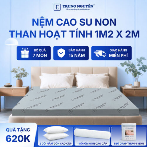 Nệm cao su non hoạt tính Trung Nguyên 1m2 x 2m 1.1