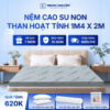 Nệm cao su non hoạt tính Trung Nguyên 1m4 x 2m 1.1