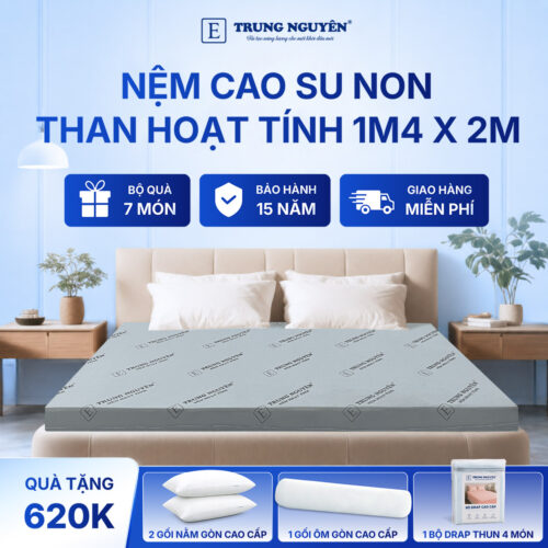Nệm cao su non hoạt tính Trung Nguyên 1m4 x 2m 1.1