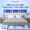 Nệm cao su non hoạt tính Trung Nguyên 1m6 x 2m 1.1