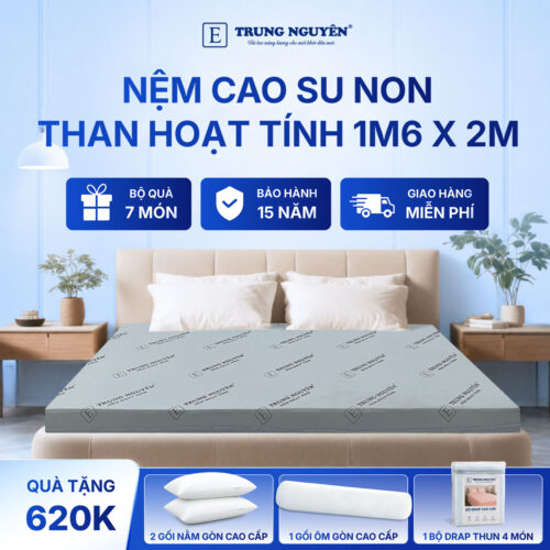 Nệm cao su non hoạt tính Trung Nguyên 1m6 x 2m 1.1
