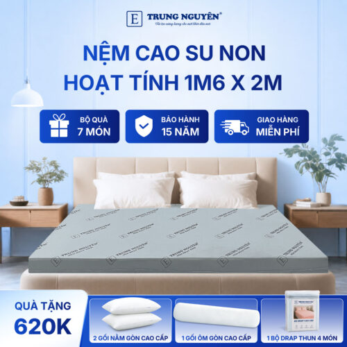 Nệm Cao Su Non Hoạt Tính Trung Nguyên 1m6 x 2m