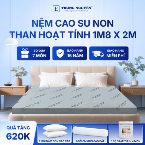 Nệm cao su non hoạt tính Trung Nguyên 1m8 x 2m 1.1