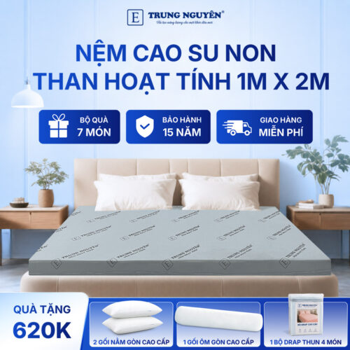 Nệm cao su non hoạt tính Trung Nguyên 1m x 2m 1.1