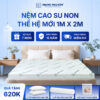 Nệm cao su non Trung Nguyên 1m x 2m 1.1