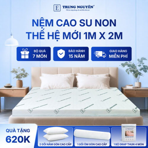 Nệm cao su non Trung Nguyên 1m x 2m 1.1
