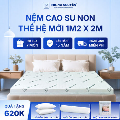 Nệm cao su non Trung Nguyên 1m2 x 2m 1.1