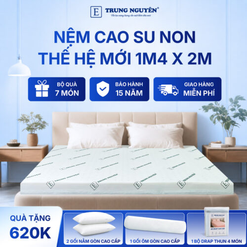 Nệm cao su non Trung Nguyên 1m4 x 2m 1.1