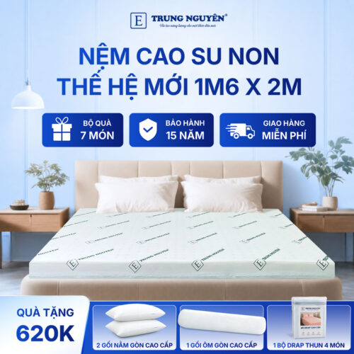 Nệm cao su non Trung Nguyên 1m6 x 2m 1.1