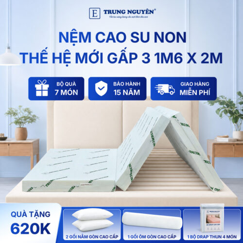 Nệm cao su non Trung Nguyên gấp 3 1m6 x 2m 1.1