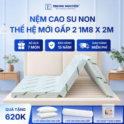 Nệm cao su non Trung Nguyên gấp 3 1m8 x 2m 1.1