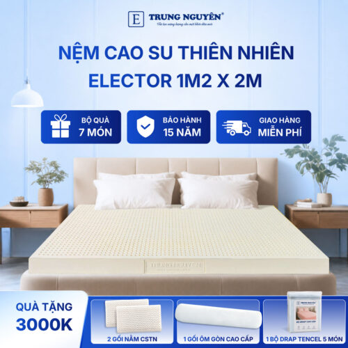 Nệm cao su thiên nhiên Trung Nguyên Classic 1m2 x 2m 60