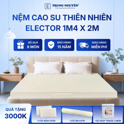 Nệm Cao Su Thiên Nhiên Trung Nguyên Classic 1m4 x 2m