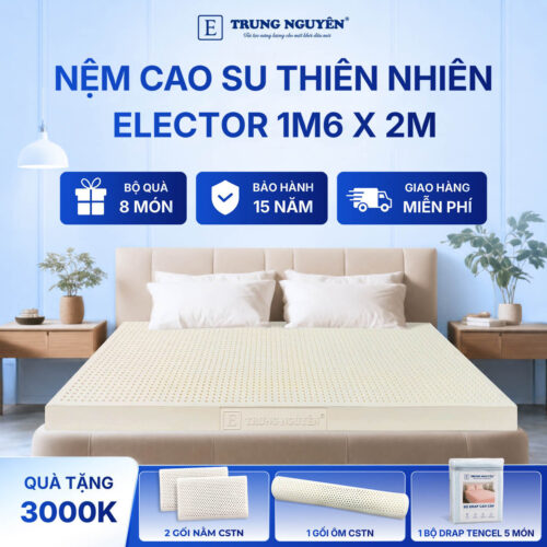 Nệm Cao Su Thiên Nhiên Trung Nguyên Classic 1m6 x 2m