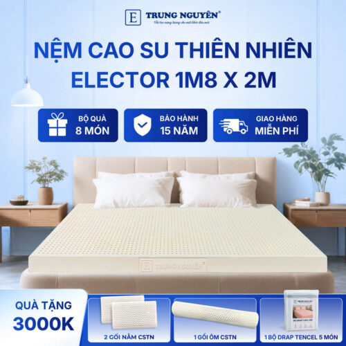 Nệm Cao Su Thiên Nhiên Trung Nguyên Classic 1m8 x 2m