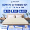 Nệm Cao Su Thiên Nhiên Trung Nguyên Classic 1m x 2m
