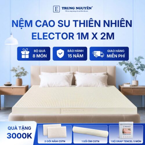 Nệm Cao Su Thiên Nhiên Trung Nguyên Classic 1m x 2m