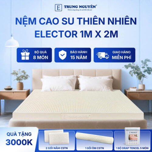 Nệm Cao Su Thiên Nhiên Trung Nguyên Classic 1m x 2m