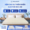 Nệm cao su thiên nhiên Trung Nguyên Classic 1m x 2m 60