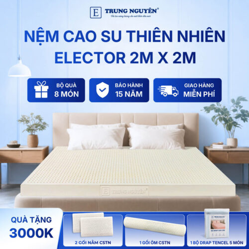 Nệm Cao Su Thiên Nhiên Trung Nguyên Classic 2m x 2m