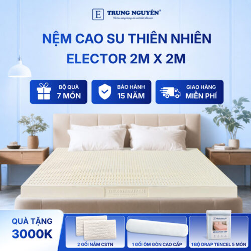 Nệm cao su thiên nhiên Trung Nguyên classic 2m x 2m 60