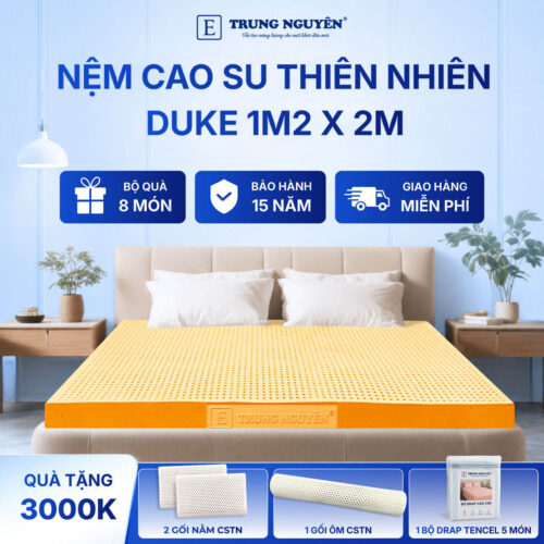 Nệm Cao Su Thiên Nhiên Trung Nguyên Gold 1m2 x 2m