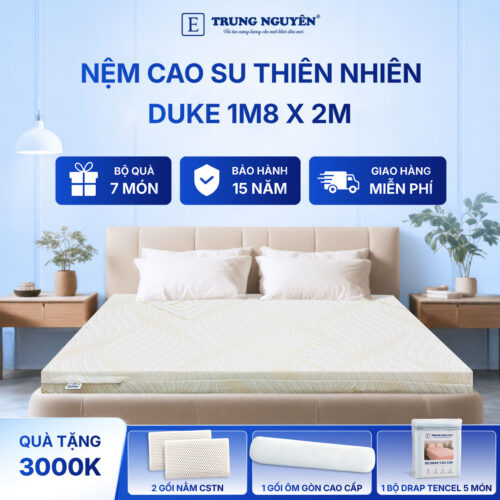 Nệm cao su thiên nhiên Trung Nguyên gold 1m8 x 2m 60
