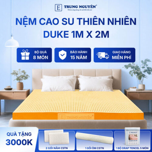 Nệm Cao Su Thiên Nhiên Trung Nguyên Gold 1m x 2m
