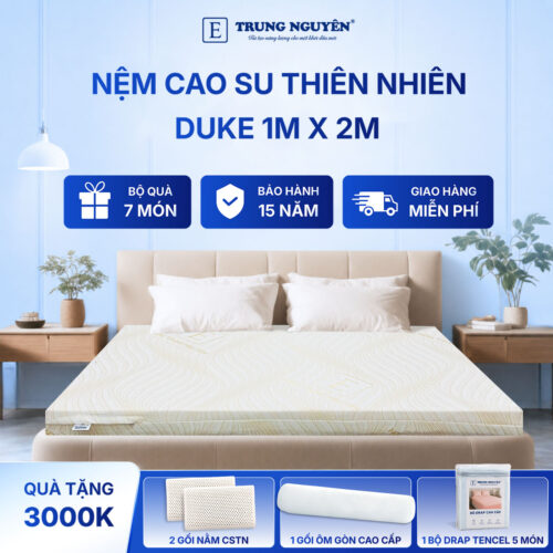 Nệm cao su thiên nhiên Trung Nguyên gold 1m x 2m 60