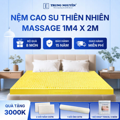 Nệm Cao Su Thiên Nhiên Trung Nguyên Massage 1m4 x 2m