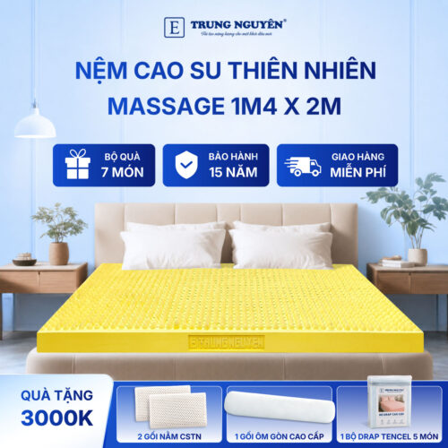 Nệm cao su thiên nhiên Trung Nguyên massage 1m4 x 2m 60