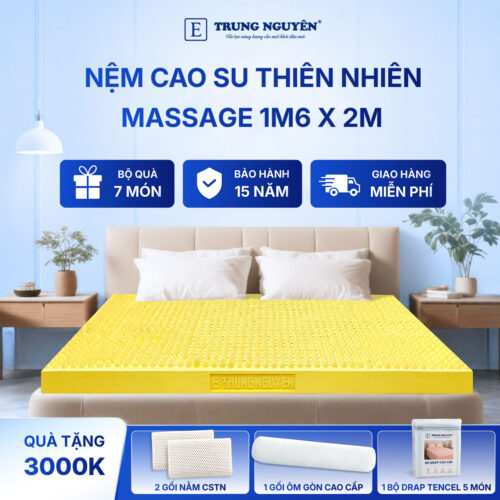 Nệm cao su thiên nhiên Trung Nguyên massage 1m6 x 2m 60