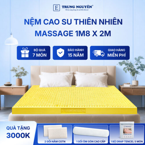 Nệm cao su thiên nhiên Trung Nguyên massage 1m8 x 2m 60