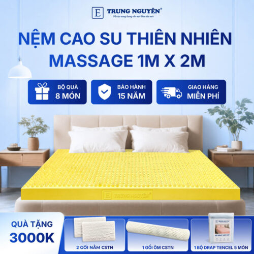 Nệm Cao Su Thiên Nhiên Trung Nguyên Massage 1m x 2m