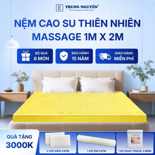 Nệm Cao Su Thiên Nhiên Trung Nguyên Massage 1m x 2m