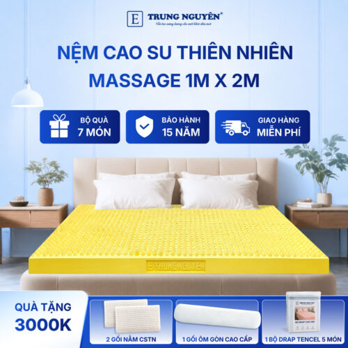 Nệm cao su thiên nhiên Trung Nguyên massage 1m x 2m 60
