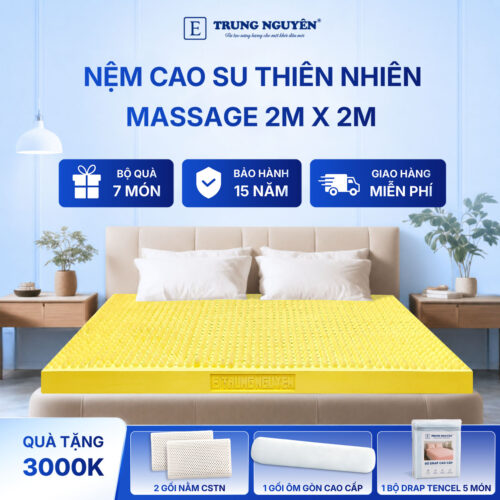 Nệm cao su thiên nhiên Trung Nguyên massage 2m x 2m 60