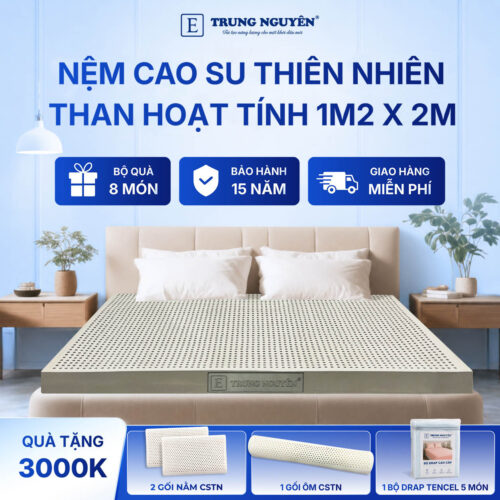 Nệm Cao Su Thiên Nhiên Trung Nguyên Than Hoạt Tính 1m2 x 2m