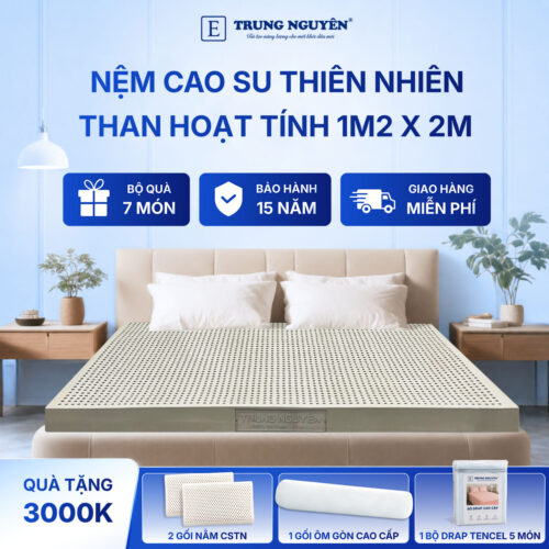 Nệm cao su thiên nhiên Trung Nguyên than hoạt tính 1m2 x 2m 60