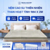 Nệm cao su thiên nhiên Trung Nguyên than hoạt tính 1m4 x 2m 60