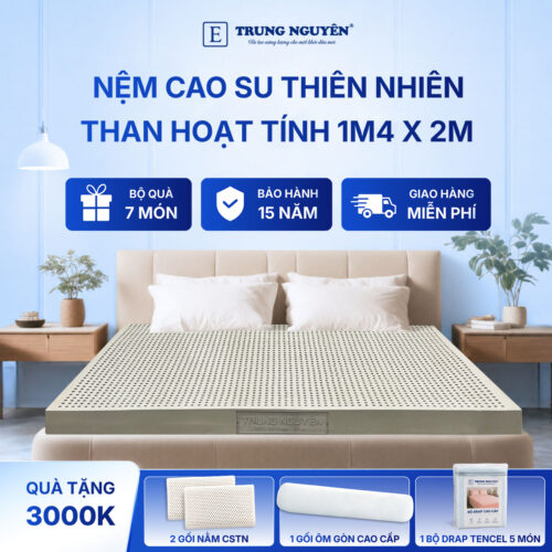 Nệm cao su thiên nhiên Trung Nguyên than hoạt tính 1m4 x 2m 60