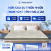 Nệm cao su thiên nhiên Trung Nguyên than hoạt tính 1m6 x 2m 60