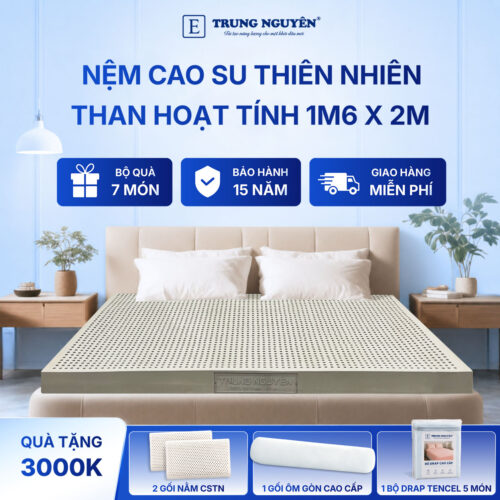 Nệm cao su thiên nhiên Trung Nguyên than hoạt tính 1m6 x 2m 60