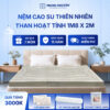 Nệm cao su thiên nhiên Trung Nguyên than hoạt tính 1m8x2m 60