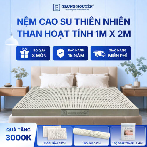 Nệm Cao Su Thiên Nhiên Trung Nguyên Than Hoạt Tính 1m x 2m