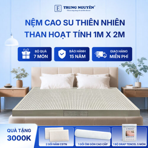 Nệm cao su thiên nhiên Trung Nguyên than hoạt tính 1m x 2m 60