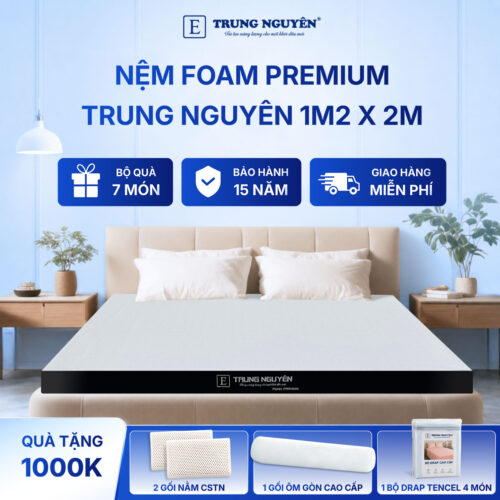 Nệm foam premium Trung Nguyên 1m2 x 2m 60