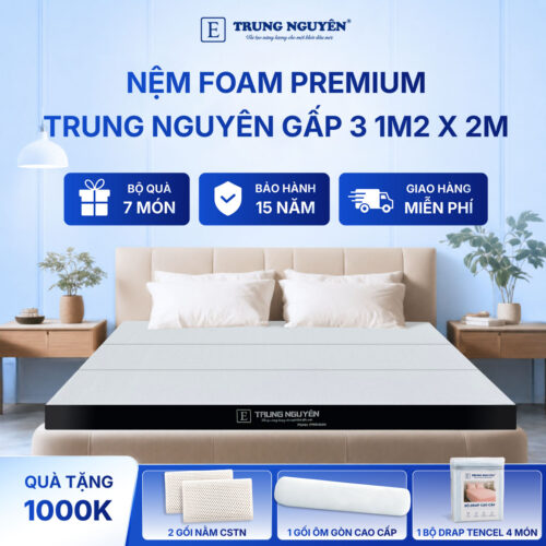 Nệm foam premium Trung Nguyên gấp 3 1m2 x 2m 60