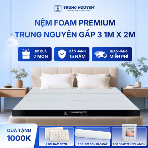 Nệm foam premium Trung Nguyên gấp 3 1m x 2m 60
